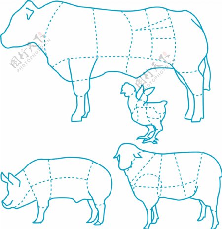 牛猪羊鸡食用分布图矢量图