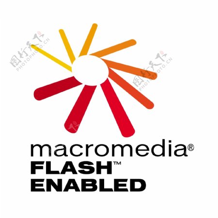 MacromediaFlash1