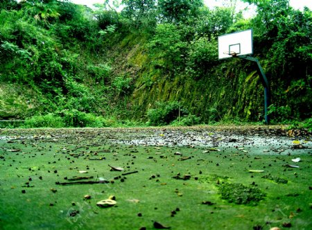 被荒废的篮球场图片