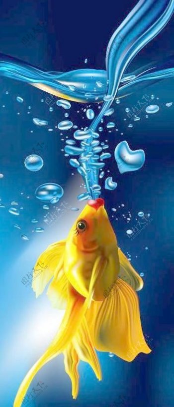 金鱼喷出的爱心水泡水柱图片