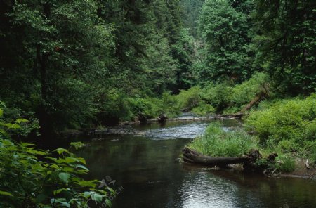 山水风景田园风景