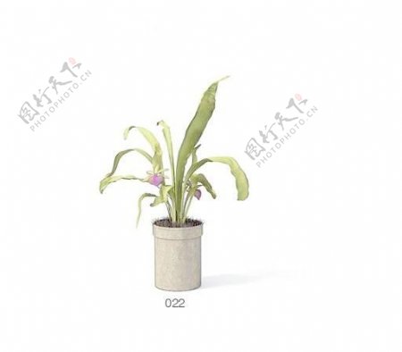 植物盆栽室内装饰素材免费下载3d模型素材56