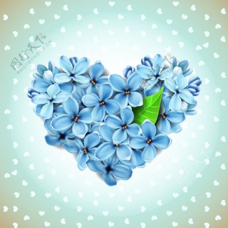 唯美的蓝色花朵