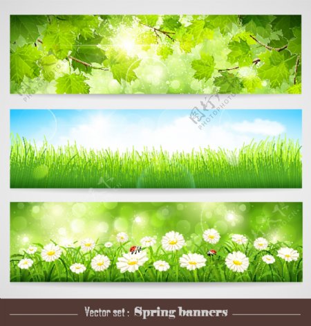 3款春季自然风景banner矢量素材