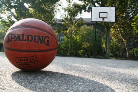 校园篮球场图片