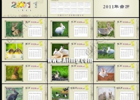 2011年兔年日历模板矢量图