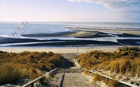 荷兰通向海滩的阶梯图片