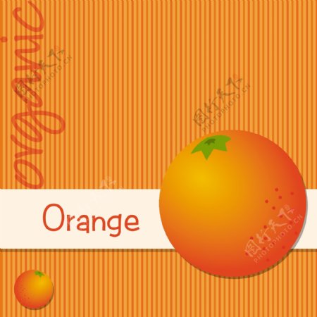 矢量格式的明亮的有机橙卡