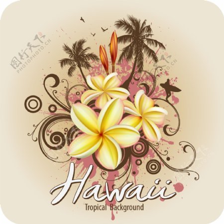 矢量潮流热带花朵椰树背景海报图片