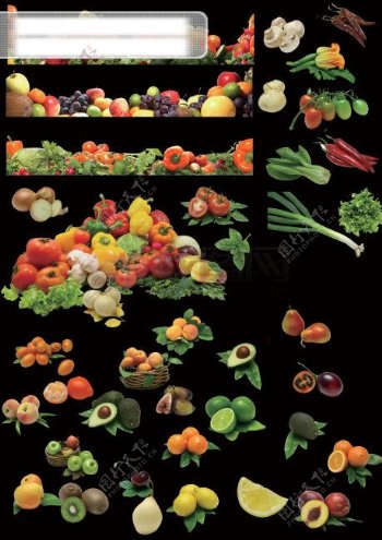 瓜果蔬菜PSD素材免费下载