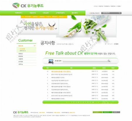 绿色蔬菜网页psd模板