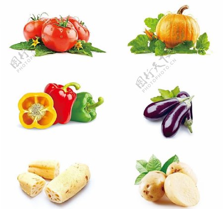 蔬菜新鲜菜篮子图片