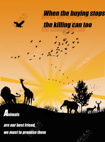 野生动物公益性广告海报