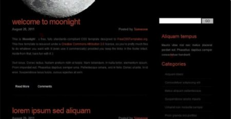 黑夜月光主题网页模板