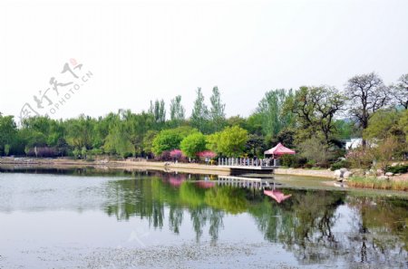 北京植物园春色图片