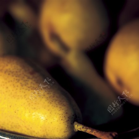 鸭梨特写鸭梨素材黄鸭梨标本新鲜水果