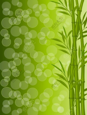 绿色翠竹背景矢量素材