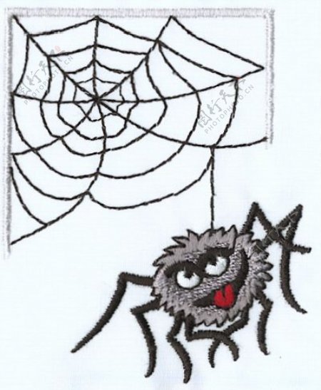 绣花动物蜘蛛织网色彩免费素材