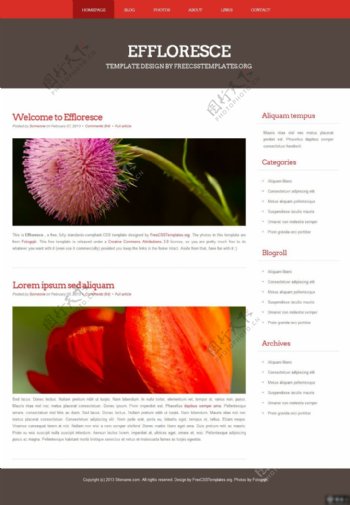 鲜花花店图片展示网页设计