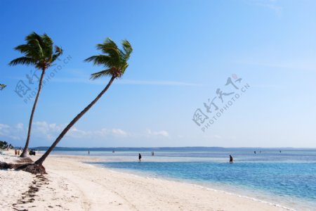 多米尼克岛海滨风光图片