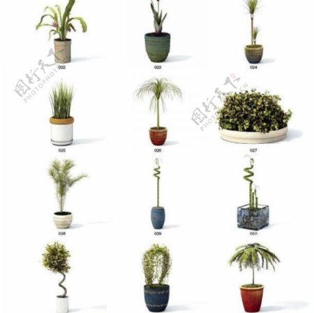 vray高精度植物模型archmodel系列3图片