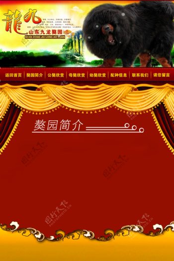 藏獒网页模板图片