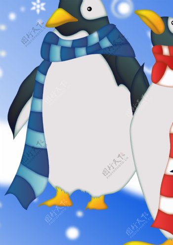 戴围巾的企鹅