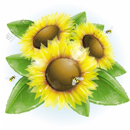 蜜蜂瓢虫与向日葵矢量素材