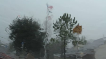 佛罗里达州雨旗帜和人股票的录像