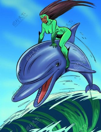 插画海豚图片