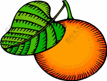 卡通蔬菜水果43