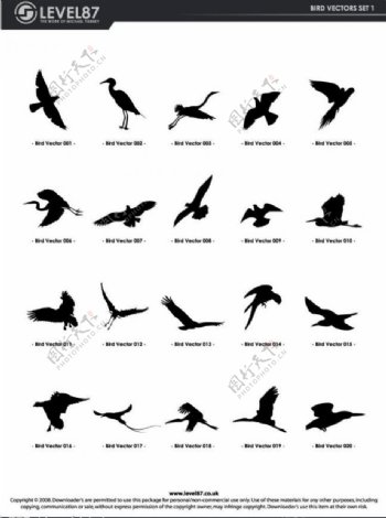 鸟类剪影图片