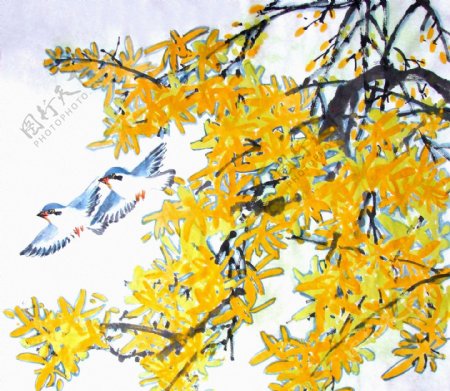 位图植物图案写意花卉动物鸟免费素材