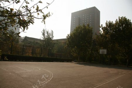 黄昏篮球场图片