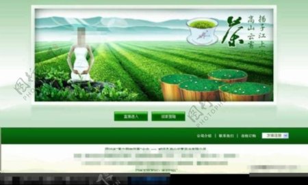 茶业公司网站首页网页模板