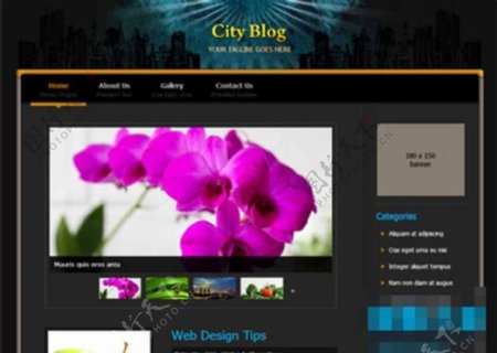 黑色城市个人博客模板下载