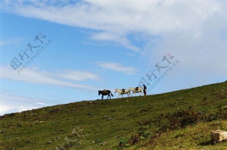 云南德宏黑河老坡旅游风景区图片