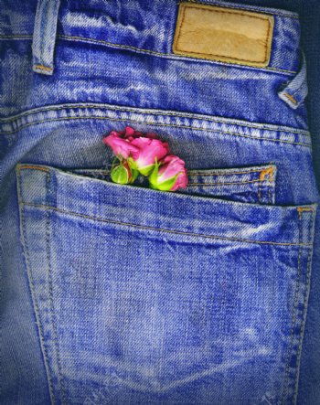 一对夫妇的玫瑰藏在一个牛仔口袋概念图像的爱