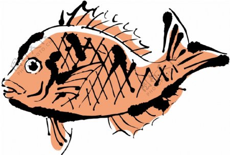鱼插画图片
