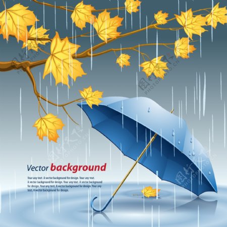 枫叶在雨的伞插画矢量素材