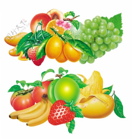 水果杂锦图片