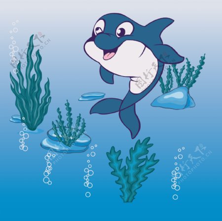 印花矢量图动物海豚珊瑚海水免费素材