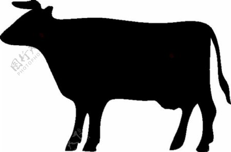 牛的剪影艺术剪辑