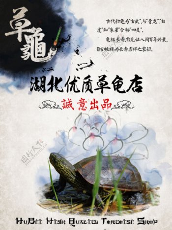 中国风草龟