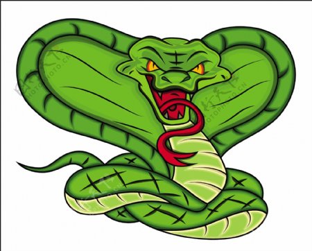 愤怒的蛇矢量插画的吉祥物