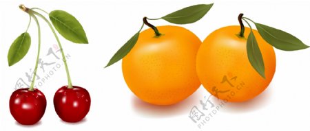 樱桃橙子图片