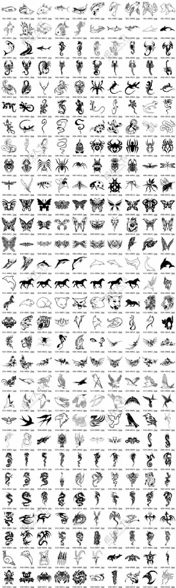 百款动物黑白图案矢量素材