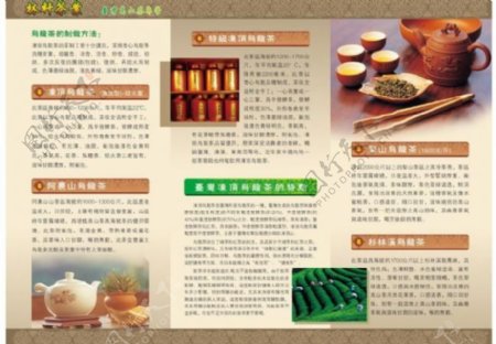 林轩茶业dm折页设计图片