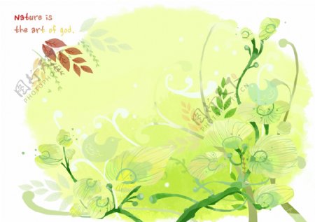绿色藤蔓植物插画