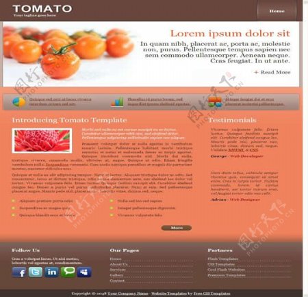 国外西红柿创意网站模板